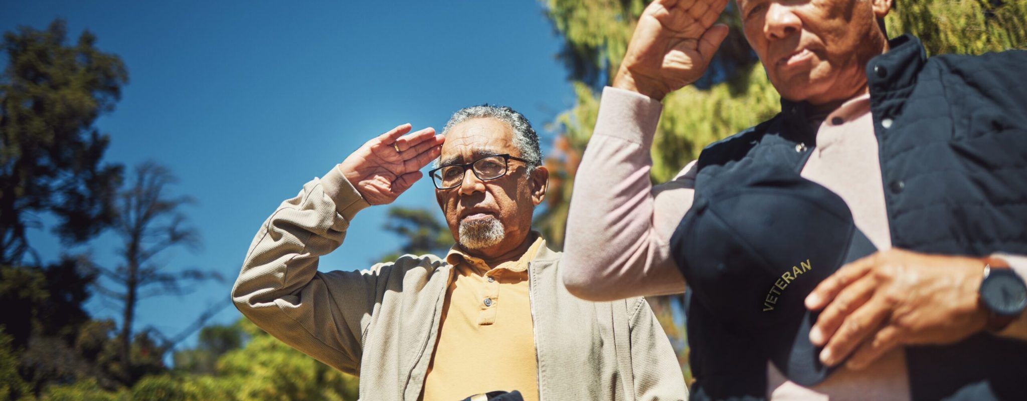 Salute,,War,Veteran,And,Men,At,Cemetery,To,Pay,Respect