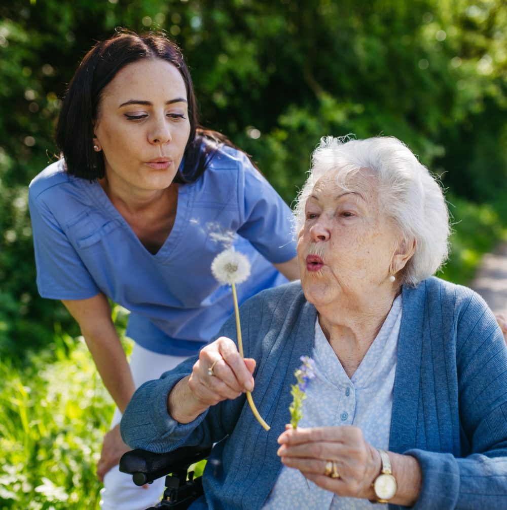 Female,Caregiver,And,Senior,Woman,In,Wheelchair,Holding,Dandelion,,Picking